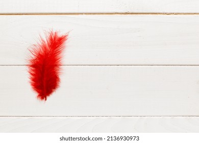background of brightly colored dyed bird feathers on Colored background, top view. Copy space.