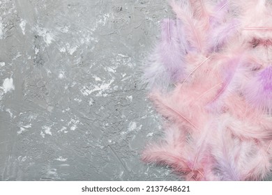 background of brightly colored dyed bird feathers on Colored background, top view. Copy space.