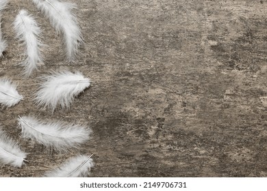 background of brightly colored dyed bird feathers on Colored background, top view. Copy space.