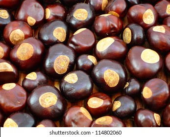 Background Of Buckeye Nuts