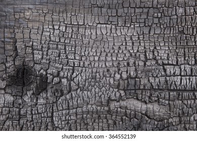 Background Burnt Wood