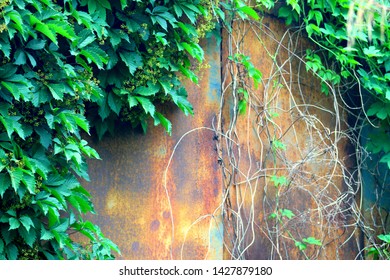 Wall With A Door Images Stock Photos Vectors Shutterstock