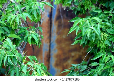 Wall With A Door Images Stock Photos Vectors Shutterstock