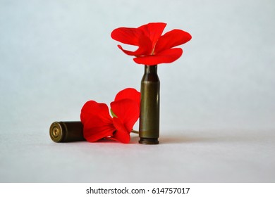 Background. Cases And Red Flowers.