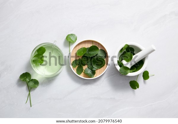 Background Centella asiatica for  Biological\
experiment Centella asiatica (Gotu kola) leaves and green water in\
biological test tubes. Production of cosmetics based on Centella\
asiatica  \
