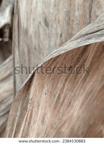 Background chocolate of dried old banana leaves