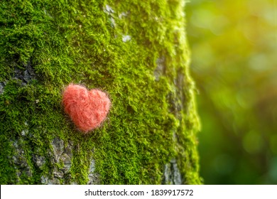 Background with a closeup of a birch trunk with a red heart. A tree with moss in the forest as a symbol of ecology, love and respect for nature