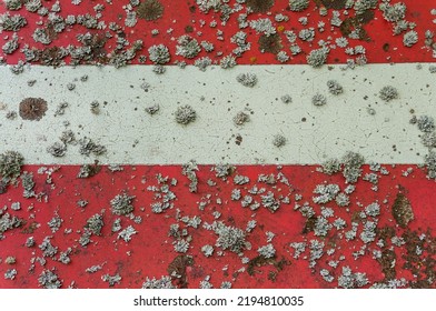 Background Closeup Traffic Sign Passage Prohibited With Many Lichens Air Purity