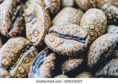a background with a coffee bean in macro (extremely shallow depth of field) close up