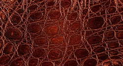Background Of Colored Alligator Skin. Texture Of Brown Crocodile Leather.