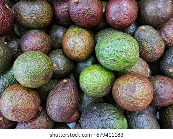 Background Of Colorful Fresh Organic Ripe Sweet Australian Dole Avocado On Display For Sale At Local Farmer's Market Departmental Store, Good Health Food And Replacement Meal High In Nutrients