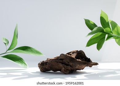 Background for cosmetics in natural white-gray color with leaves. Driftwood on a white background with hard shadows.