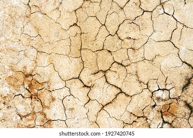 Background cracked, dry white clay, natural material, atmospheric impact, outdoors, horizontal close-up photo. Dry soil
