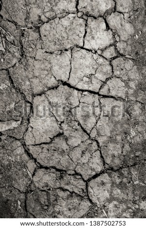 Similar – Image, Stock Photo Earth cracked Summer