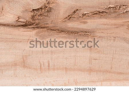 background created with beech wood, background with wood
