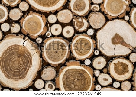 Background of cross section of round cut logs of various sizes. Wall of cut brown logs with bark, cracks and texture of tree rings. Cut tree trunk. Firewood, stumps, lumber. Wooden background pattern.