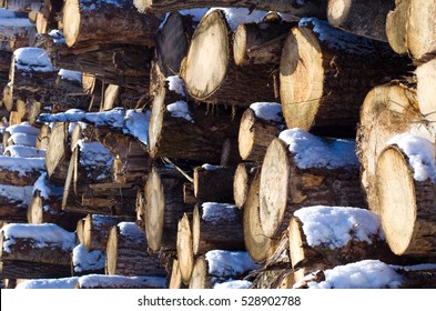 Background Of Cut Logs.