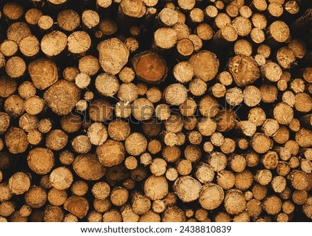 Background of cut logs close up,tree cutting background