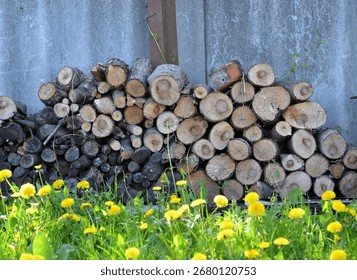 Background from cut trees. Interesting and creative background