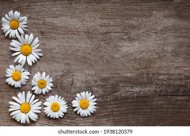 Background of daisies on an old wood board.