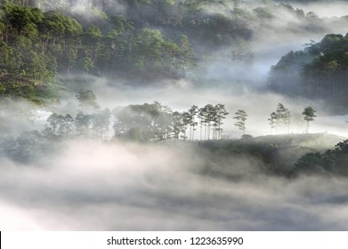 Background with dense fog and magic light at the sunrise. The coffee farm and small houses in brilliant sunshine