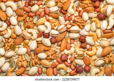Background from different types of nuts and seeds - peeled walnut, hazelnuts, peeled peanut, pine nut kernels, almond seeds, cashew seeds, pistachio nuts in the shell, pumpkin seeds
