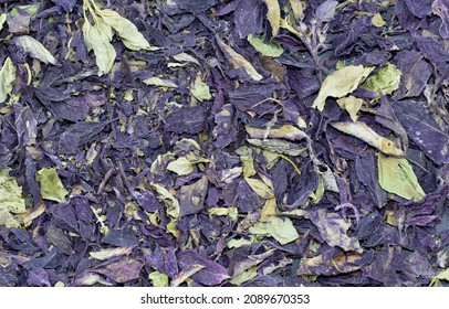 Background Of Dried Basil Leaves. Top View, Close-up