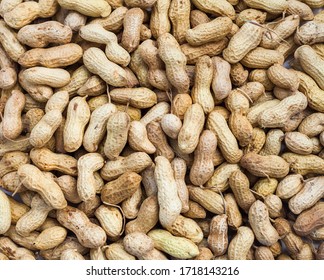 251 Collecting Peanuts Images, Stock Photos & Vectors | Shutterstock