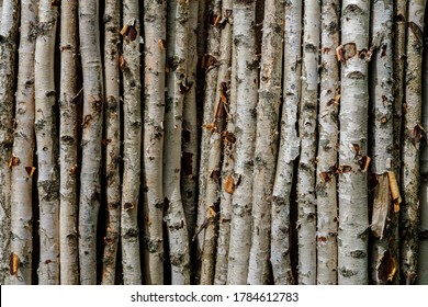 A background of dry and thin birch branches with twigs and in places torn off bark, lying vertically close to each other.