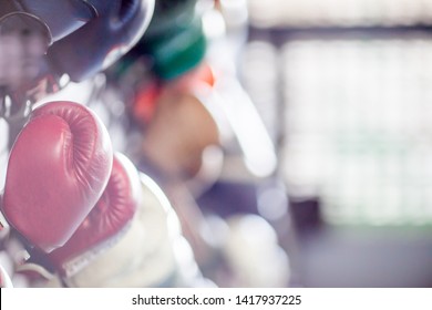 The background of the exercise equipment set for good health (steel balls, dumbbells, cable, weightlifting, boxing boxing gloves, fitness balls) has a blurred light that Fall - Powered by Shutterstock