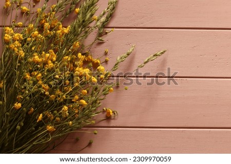 Background with eyllow wild flowers, woodenbackground, pink colour