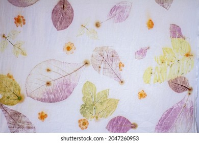 Background from the fabric of the leaf print. Eco Prince. Handmade. The only piece in the world. Fragment of hand-dyed fabric using eco-print technique