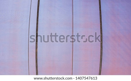 Similar – Image, Stock Photo After awakening Princess