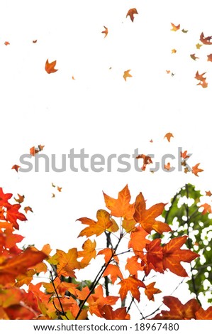 Similar – Bunter Rahmen Herbst