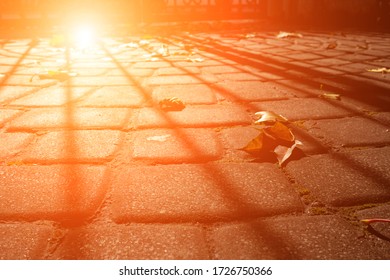 Background of fallen leaf on the asphalt in the city. Sidewalk pavement tiles in autumn at sunset. Background granite texture.