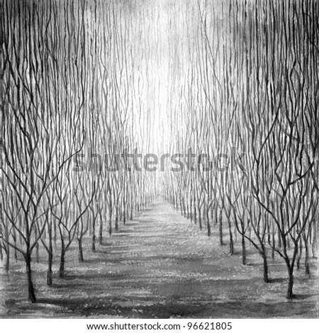 Background. Fantasy. Alley. Very high woods. Square composition. Monochrome watercolor painting.