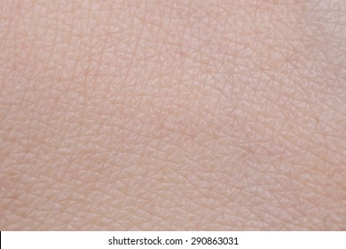 background of female human skin texture