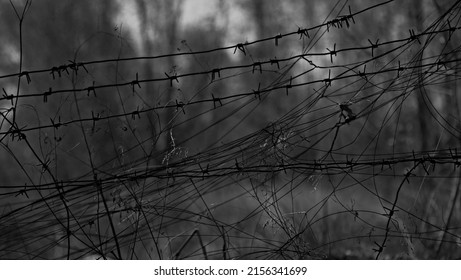 Background Fence With Barbed Wire Black And White Photo Gulag