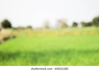 Background field blur