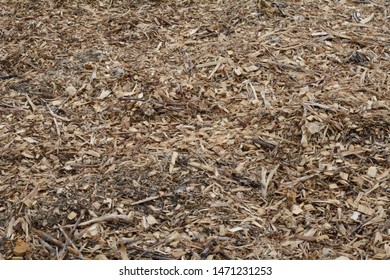 Background Field Of Tree Mulch Made From Old Christmas Trees Put Through Chipper And Recycled For Suburban Park Use