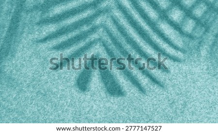 background fine sandy or grainy texture that adds tactile organic feel to the composition. diffused shadow tropical fronds stretches across left side serene summery atmosphere