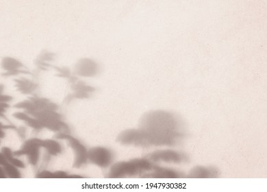 Background With Floral Field Shadow