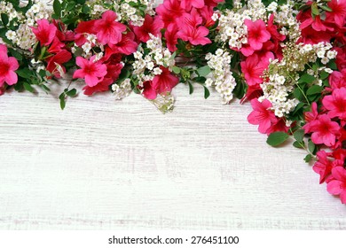 background with flowers