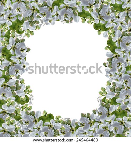 Similar – Hops frame on white background