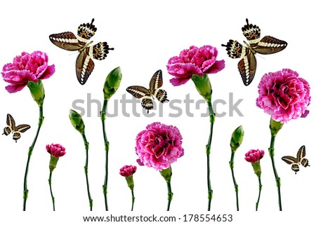 Similar – Image, Stock Photo Daisies in a small white vase on a stone border