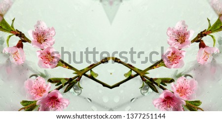 Similar – Summer Flowers Frame Background