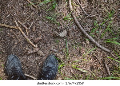 Background of forest floor with needles, pine cones, grass and branches. Man standing on a forest land, top view of a man's worn sneakers.