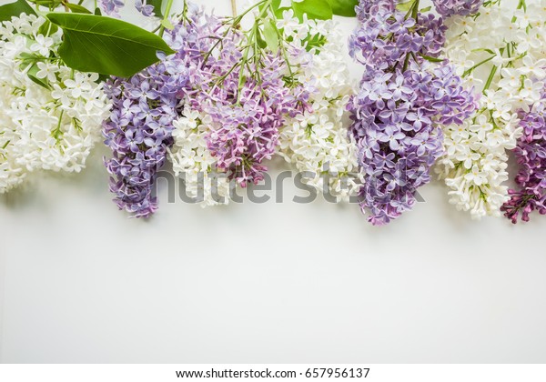 Background Frame Branches Lilac Different Colors Stock Photo Edit