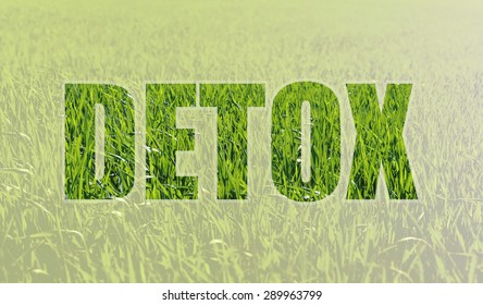 Background with fresh green grass symbolizing the rebirth and the inscription DETOX. Detoxification helps rid the body of toxins. Alternative medicine