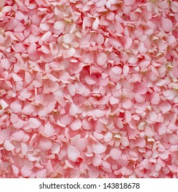 Background Of Fresh Pink Flower Petals